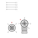 M12 Straight Female Field Wireable Connector With Screw Terminal,Pg7 Cable Gland, Black, 4-Pole