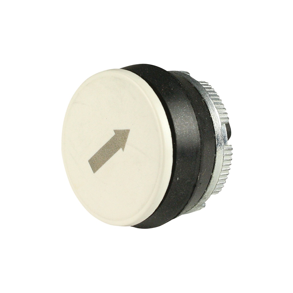 Pendant Station Replacement Momentary Push Button, White With Black Forward Arrow, 22mm