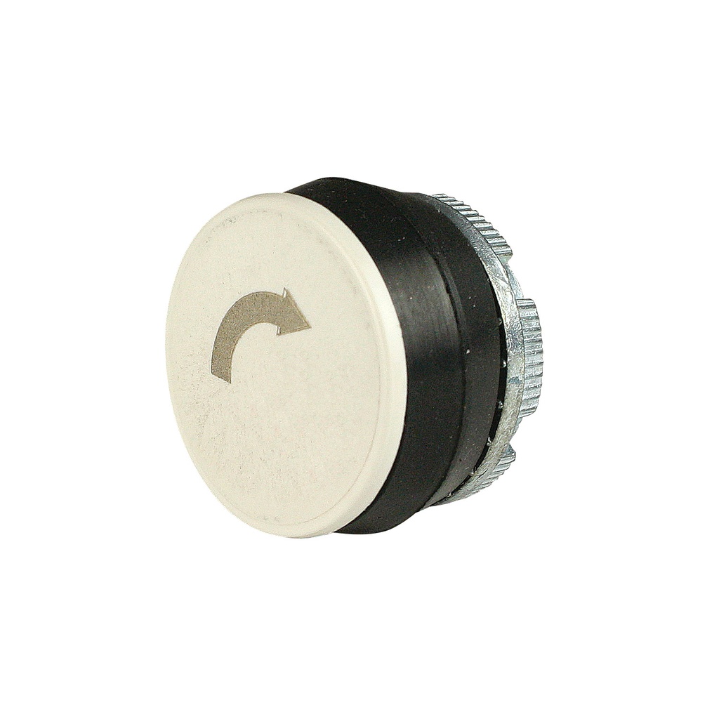 Pendant Station Push Button, Clockwise Arrow, 22mm, Momentary, White