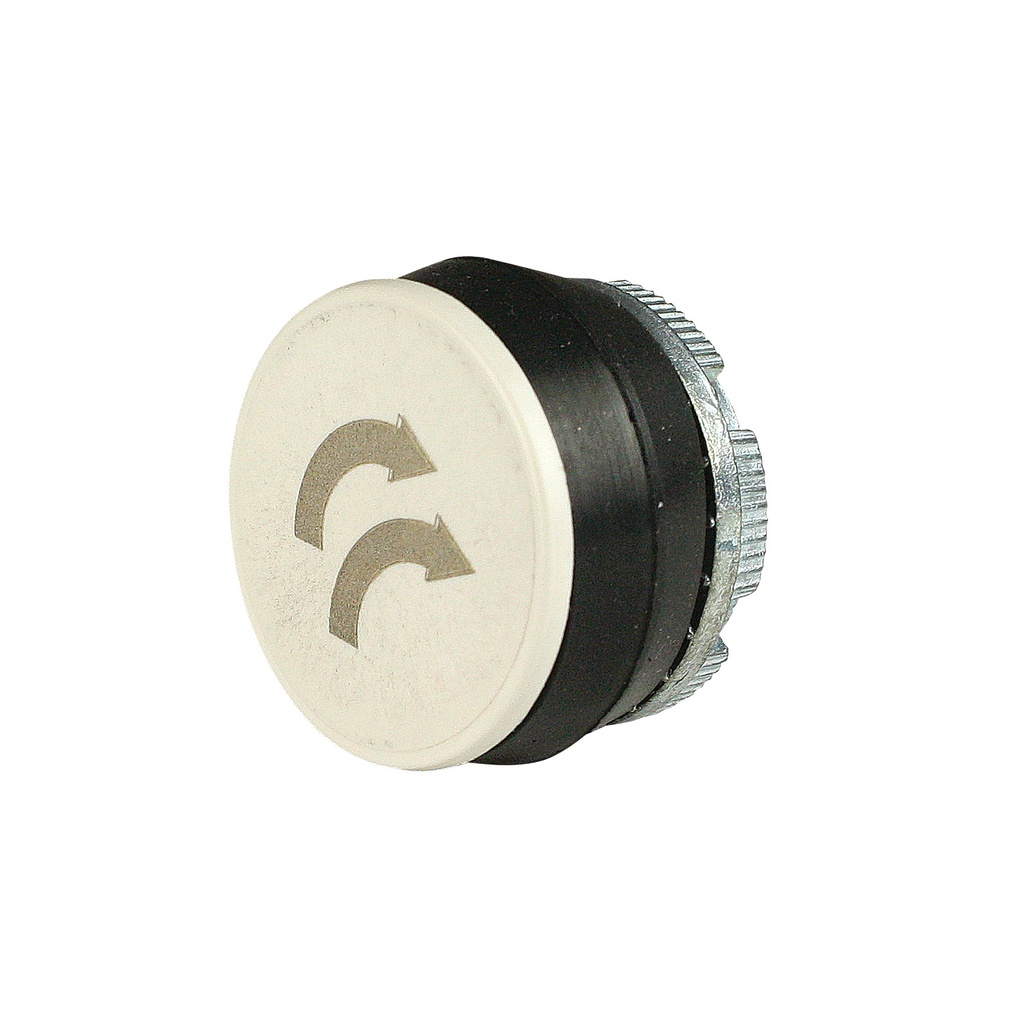 Pendant Station Replacement Momentary Push Button, White With 2-Speed Forward Rotation Arrows, 22mm