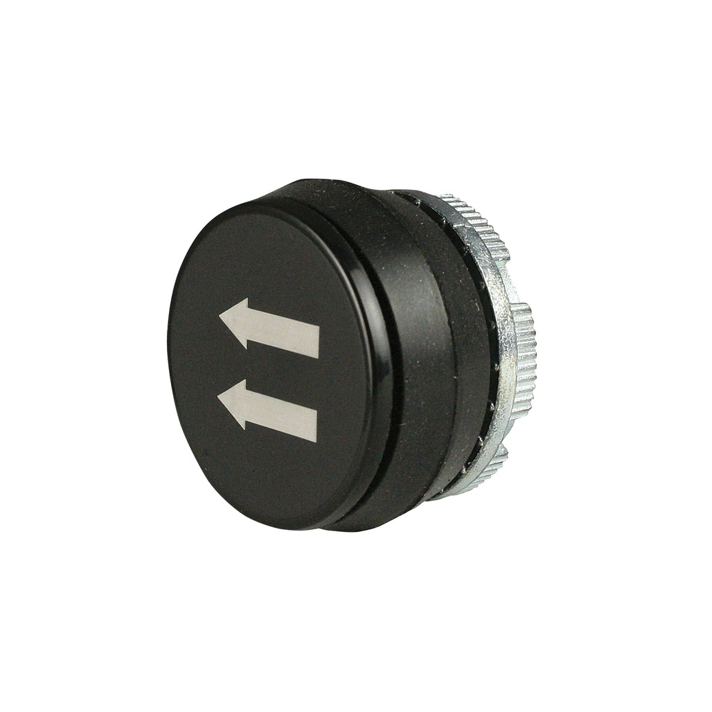 Pendant Station Push Button, Two Left Arrows, 22mm, Momentary, Black