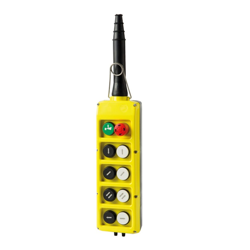 10 Button Crane Pendant | Double Row | 8 Bidirectional Push Buttons | 1 Alarm, 1 Emergency Stop Buttons