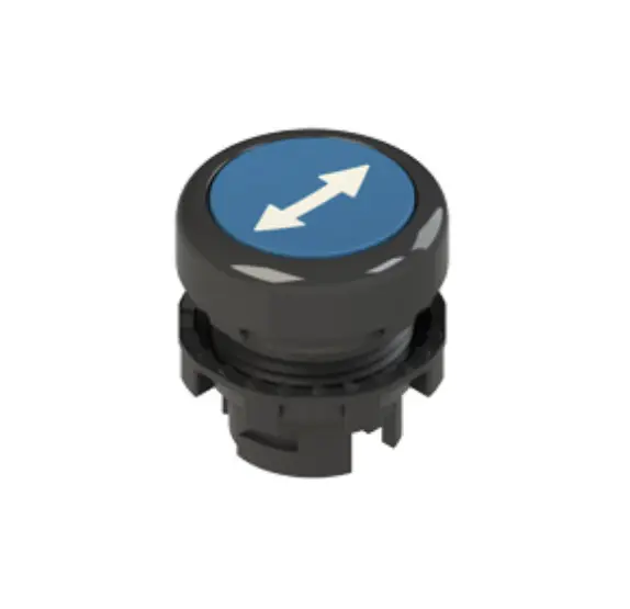 Momentary Blue Push Button with Double Arrow, Flush Face, 22mm Mounting