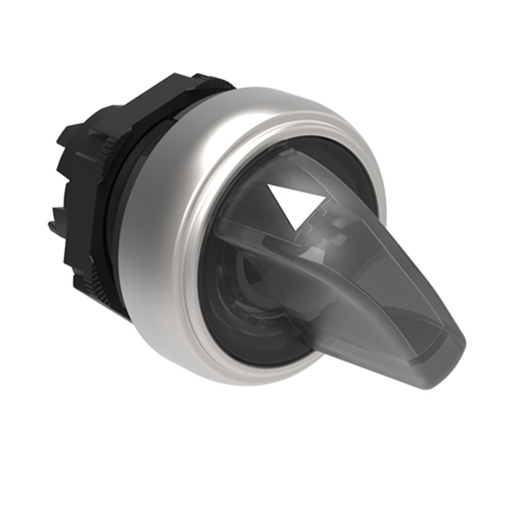 Illuminated 2 Position Selector Switch, White, Maintained-Momentary ...